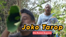 JOKO TAROP || EPS 88