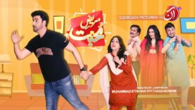 Mareez – e – Muhabbat [Eng Sub] | TeleFilm | Eid ul Adha Special | AAN TV