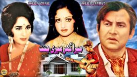 MERA GHAR MERI JANNAT (CLASSIC) MOHAMMAD ALI, SHAMIM ARA, RANI, LEHRI, TALISH – FULL PAKISTANI MOVIE