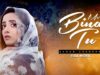 Mere Bina Tu | Full Movie | Sanam Chaudhry, Humayun Ashraf, Javed Sheikh | A Sad Story | C4B1G