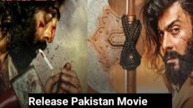 Pakistani movie The maula jatt 2023