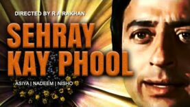 SEHRAY KAY PHOOL (Urdu) Nadeem, Qavi, Nisho, Asiya | BVC PAKISTANI