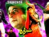 SHEHZADA (1992) – NADEEM, BABRA SHARIF & HUMAYUN QURESHI – OFFICIAL PAKISTANI MOVIE