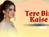 Tere Bin Kaise (تیرے بن کیسے) | Full Movie | Affan Waheed & Azekah Daniel | True Love Story | C4B1G