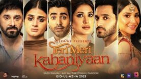 Teri Meri Kahaniyaan Full Pakistani Movies 2023