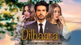 Dilhaara | Full Movie | Aiman Khan, Adeel Chaudhry, Azekah Daniel | A Romantic Love Story | C4B1G