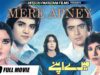 MERE APNEY (1981) – WAHEED MURAD, MUMTAZ, ALI EJAZ & SHAHID – Hi-Tech Pakistani Films