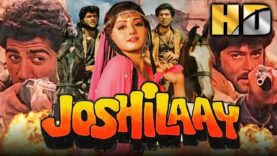 Sridevi Superhit Bollywood Movie – Joshilaay |Sunny Deol, Anil Kapoor, Meenakshi Seshadri, Alok Nath