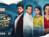 Tere Ishq Ke Naam Episode 17 | 10th August 2023 | Digitally Presented By Lux | ARY Digital