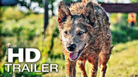 PET SEMATARY: BLOODLINES Trailer (2023)