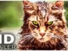 PET SEMATARY Trailer (2019)