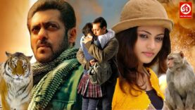 Salman Khan Latest Bollywood Blockbuster Movie | Lucky No Time For Love | Sneha Ullal Romantic Movie