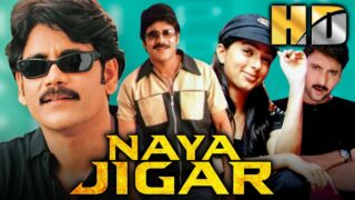 नागार्जुन की सुपरहिट साउथ कॉमेडी हिंदी डब्ड मूवी – नया जिगर (HD) | भूमिका चावला, सुमंत