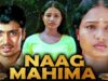 Naag Mahima (नाग महिमा) Telugu Hindi Dubbed Full Movie | Abhinay, Sindhu