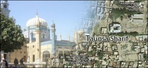 taunsa sharif