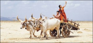 Lagaan spotsmovie