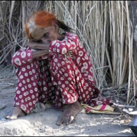 sindh flood