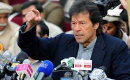 ن لیگ اور پیپلز پارٹی نے ملک کو تباہ کر دیا۔ عمران خان