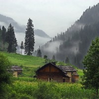 kashmir