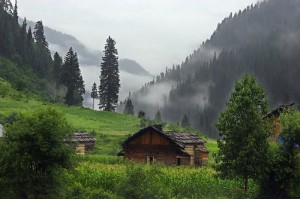 kashmir