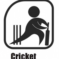 cricket