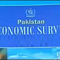 economic survey