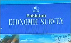 economic survey