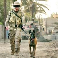 military dogs