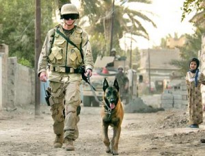 military dogs