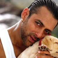 EkThaTiger Salman Khan