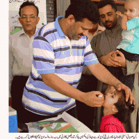 PICTURE MQM 01