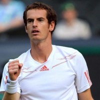 andy murray