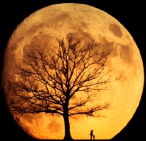 orange moon