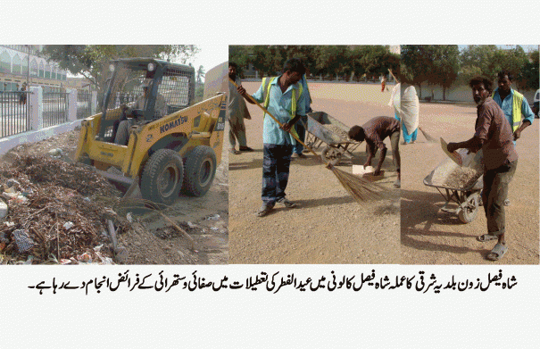 Cleaning in Union Council