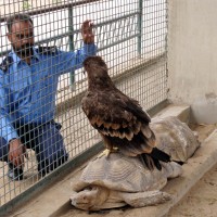 Karachi Safari Park