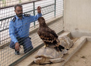 Karachi Safari Park