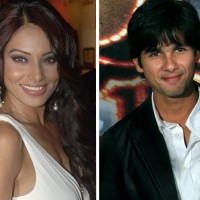 bipasha basu , shahid kapoor