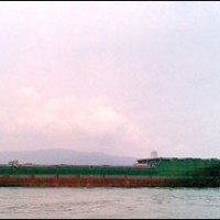 mv albedo