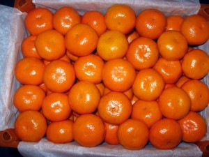 Export of orange