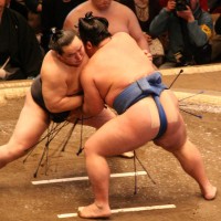 Sumo Wrestling Japan