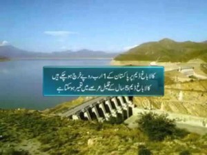 Kala Bagh Dam