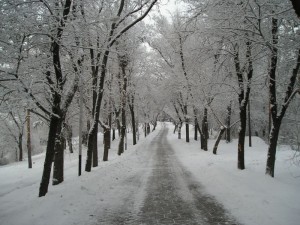 Kazakhstan Winter