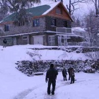 Pakistan Cold