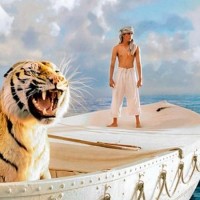 Life Of Pi