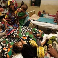 Sindh Measles