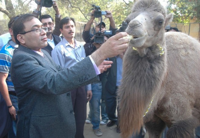 Karachi Zoo