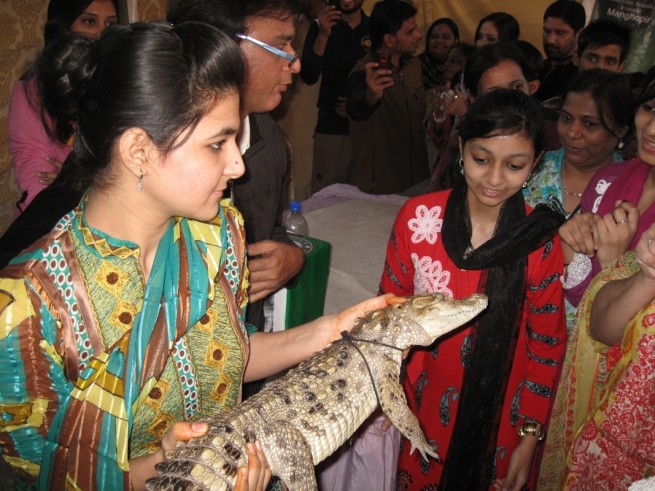 Karachi Zoo