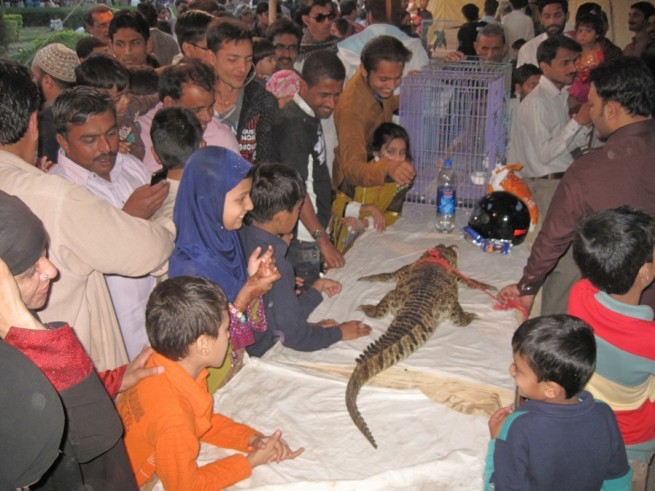 Karachi Zoo