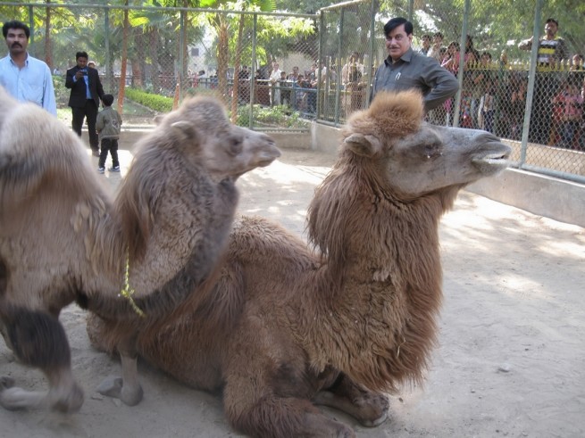 Karachi Zoo