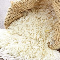 Rice Exports